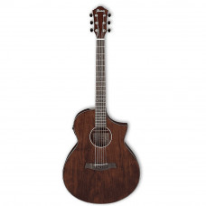 Ibanez AEW-40-CD
