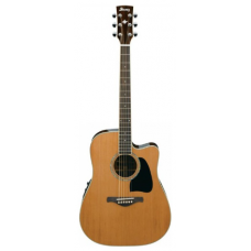Ibanez AW-300-ECE