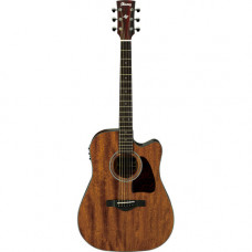 Ibanez AW-54-CE
