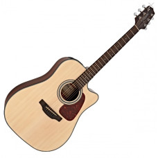 Takamine GD-10-CE-NS